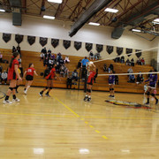 IMG-0171