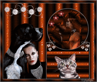 weekend48.gif
