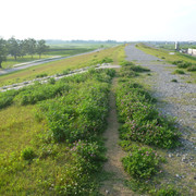 2020-05-27-080