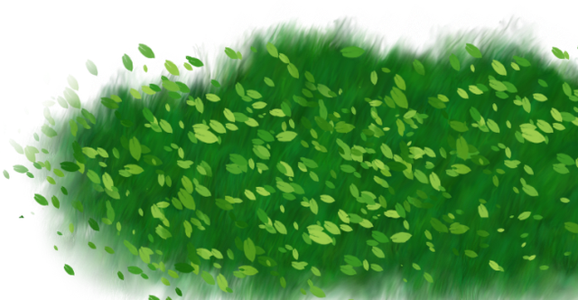 0-f7cec-1ec2cccd-XL