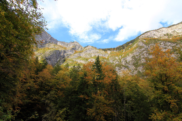 IMG-0350