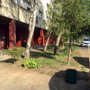 IMG-5178