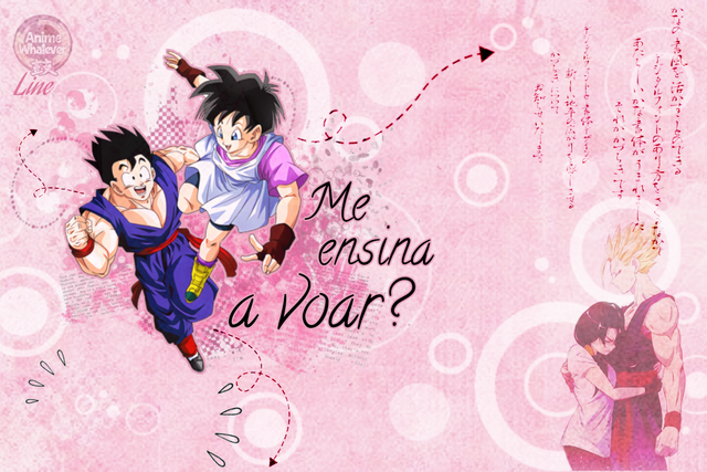 Capa-Gohan-Videl