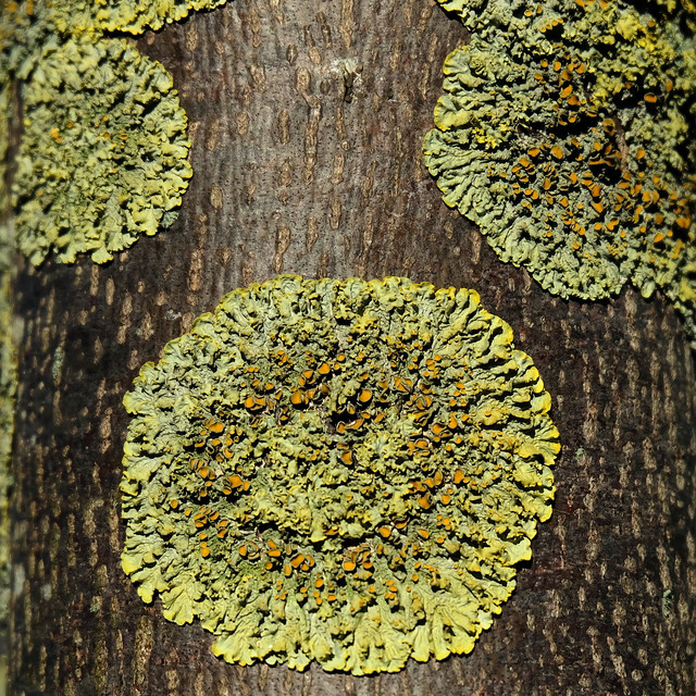 DSCF1093.jpg