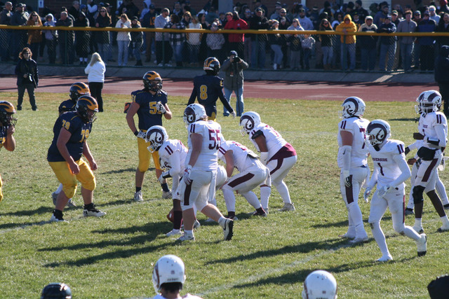 IMG-2736.jpg