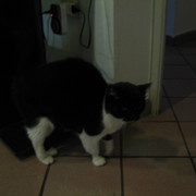 IMG-7849