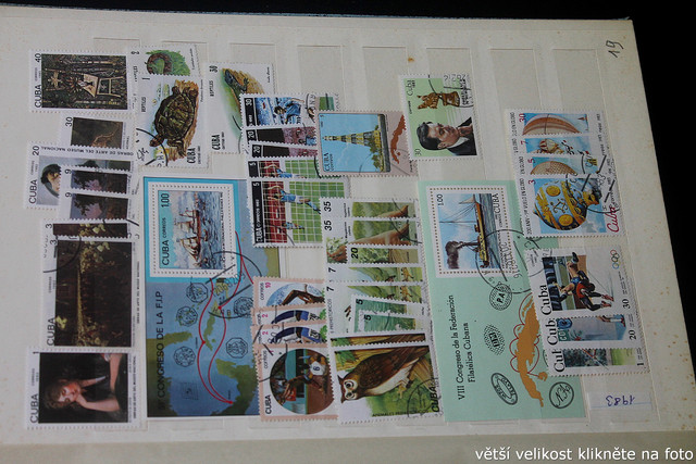IMG-3508.jpg