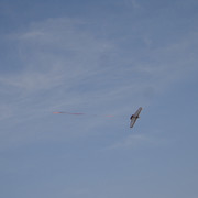 DSC03080
