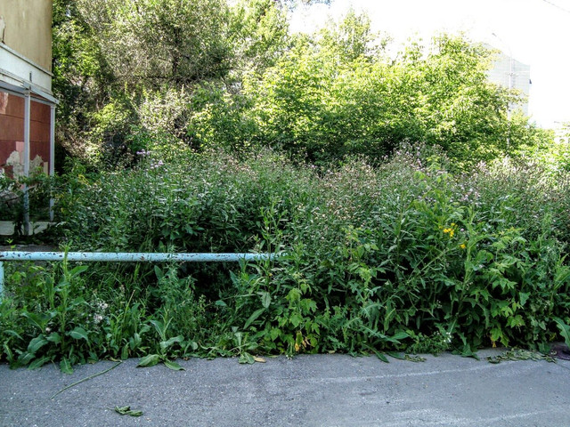 i-33