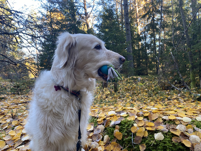 9-BEEDC61-F677-4-B62-8-F0-E-6-ADDDE86006