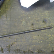 IMG-4491
