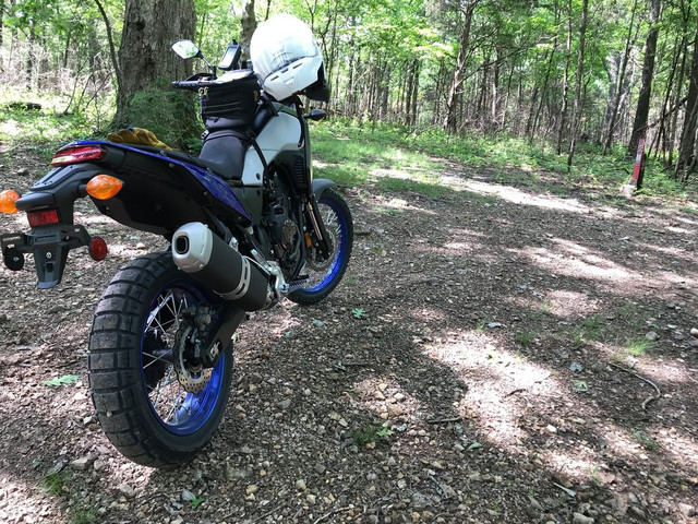 7T