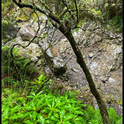 comp-IMG-9064