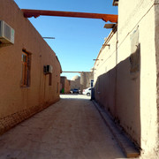 DSC06142