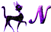 n.gif