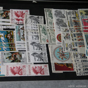 IMG-7024