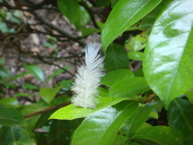 DSC07091