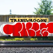 Graffiti artwork by Tkiz