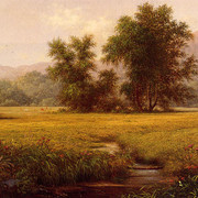 The-Meadow