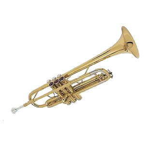 66.png