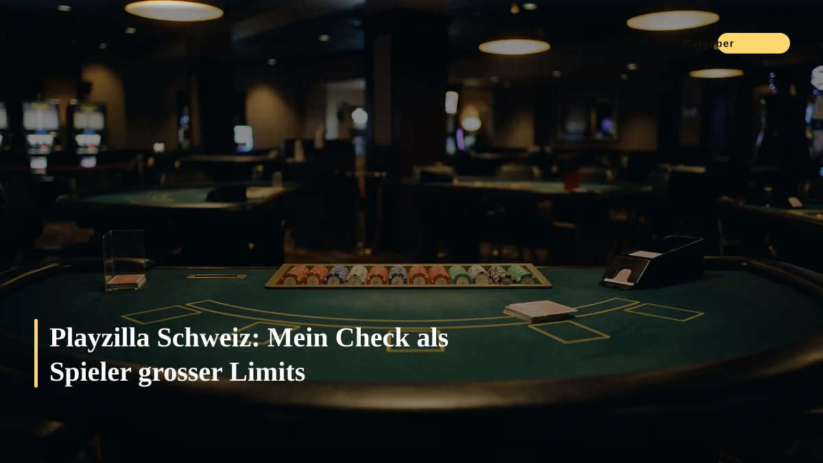 Playzilla Schweiz: Mein Check als Spieler grosser Limits