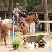 IMG-6767