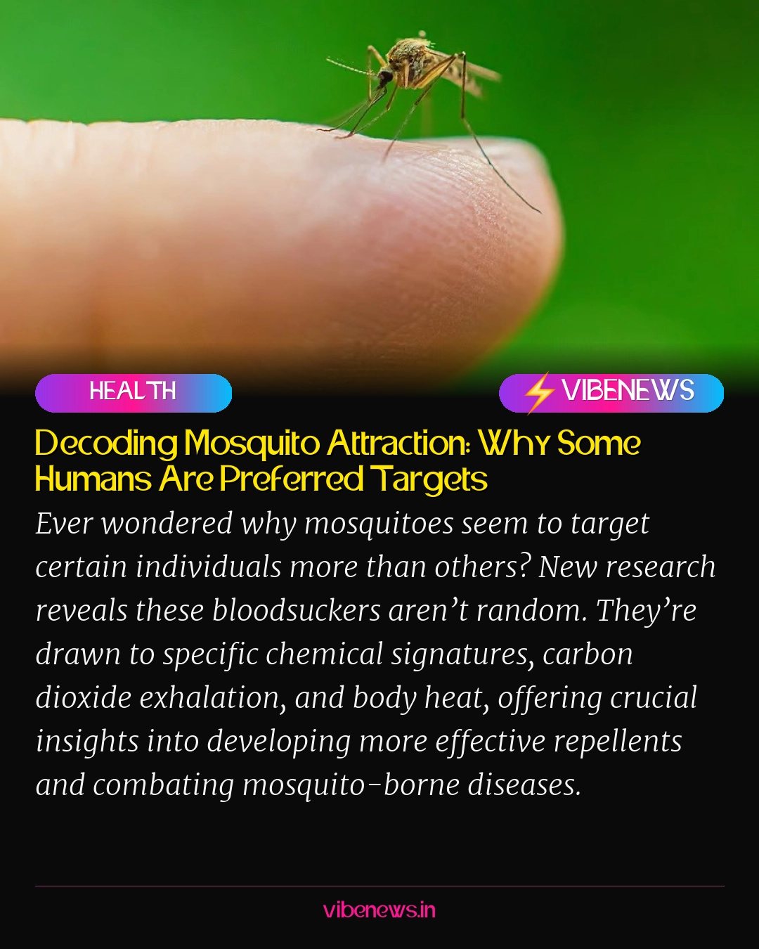 Decoding Mosquito Attraction: Why Some Humans Are Preferred Targets