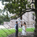 IMG 4231
