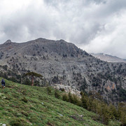 DSC00370 (2)
