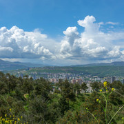 A5082233