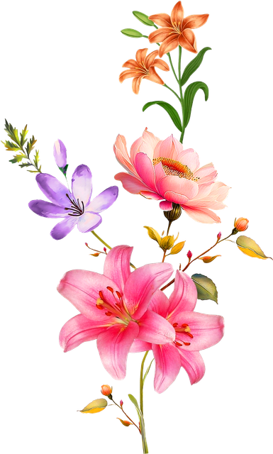 49f463a1b9b45dd340df32e07f65fab8.png