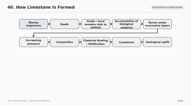 40 how limestone is formed.png