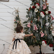 IMG 4072