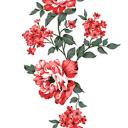 245-copy
