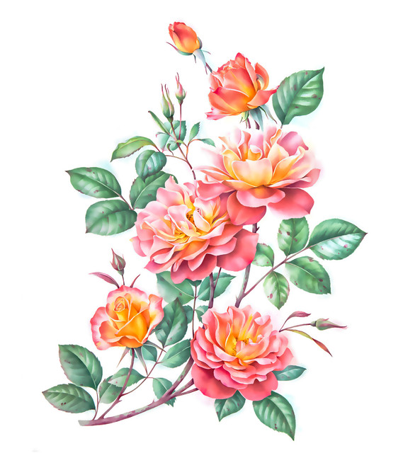 shutterstock 1624659736.jpg