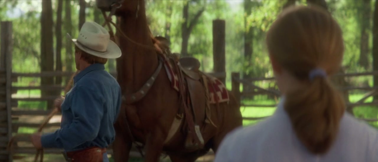 The Horse Whisperer Screenshot