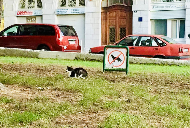 IMG-5795