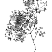 d7f6379f5adbb2e45b334929f1d71cd9