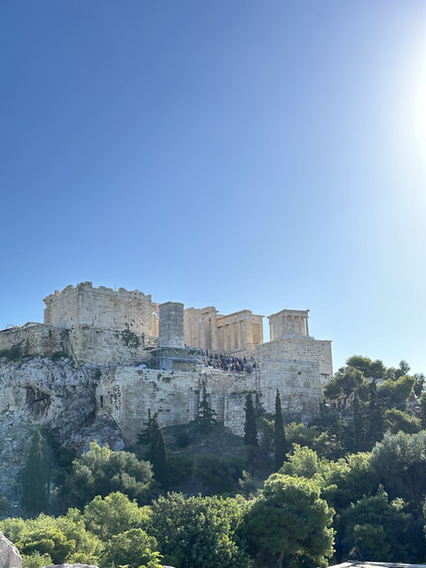 IMG-7299
