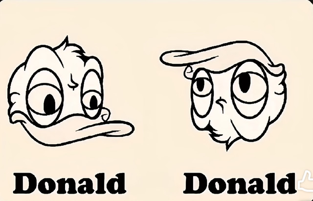 3433344.jpg