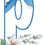 20101230-42