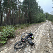 IMG 4981