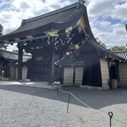 IMG-2948