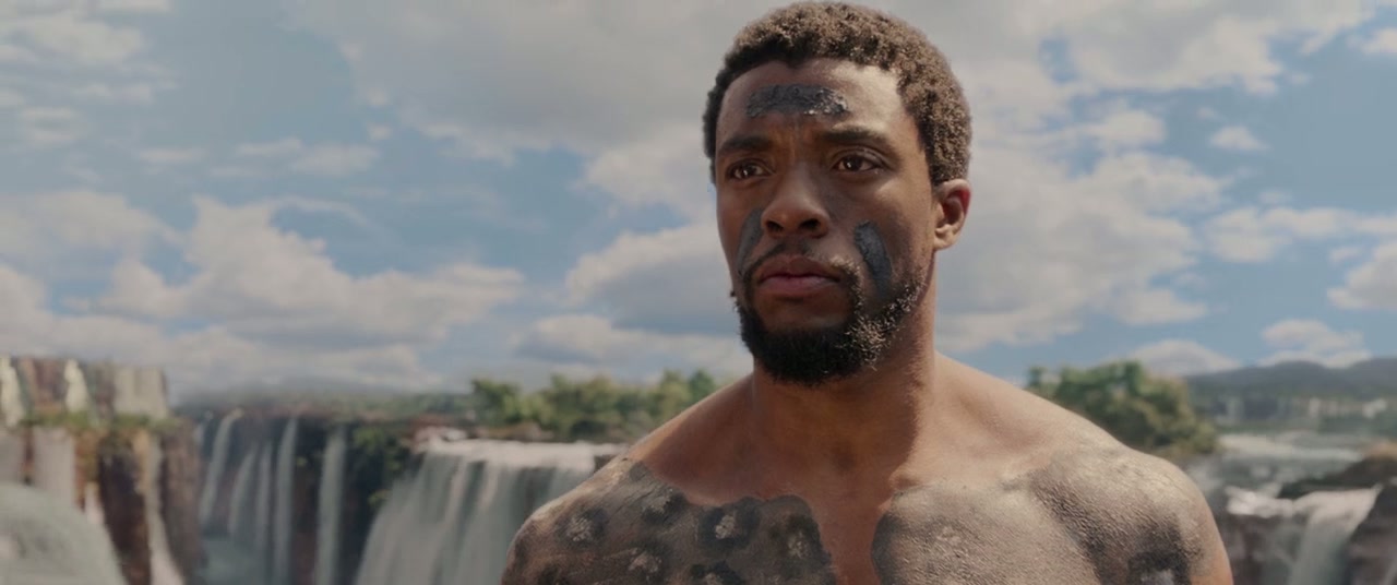 Black Panther Screenshot