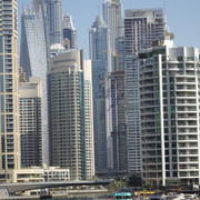 DSC08146