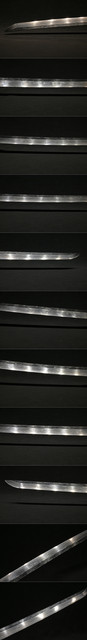 DSC9929.jpg
