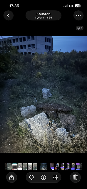 IMG-5787