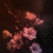 flowercheckered