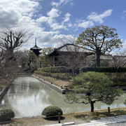IMG-2944