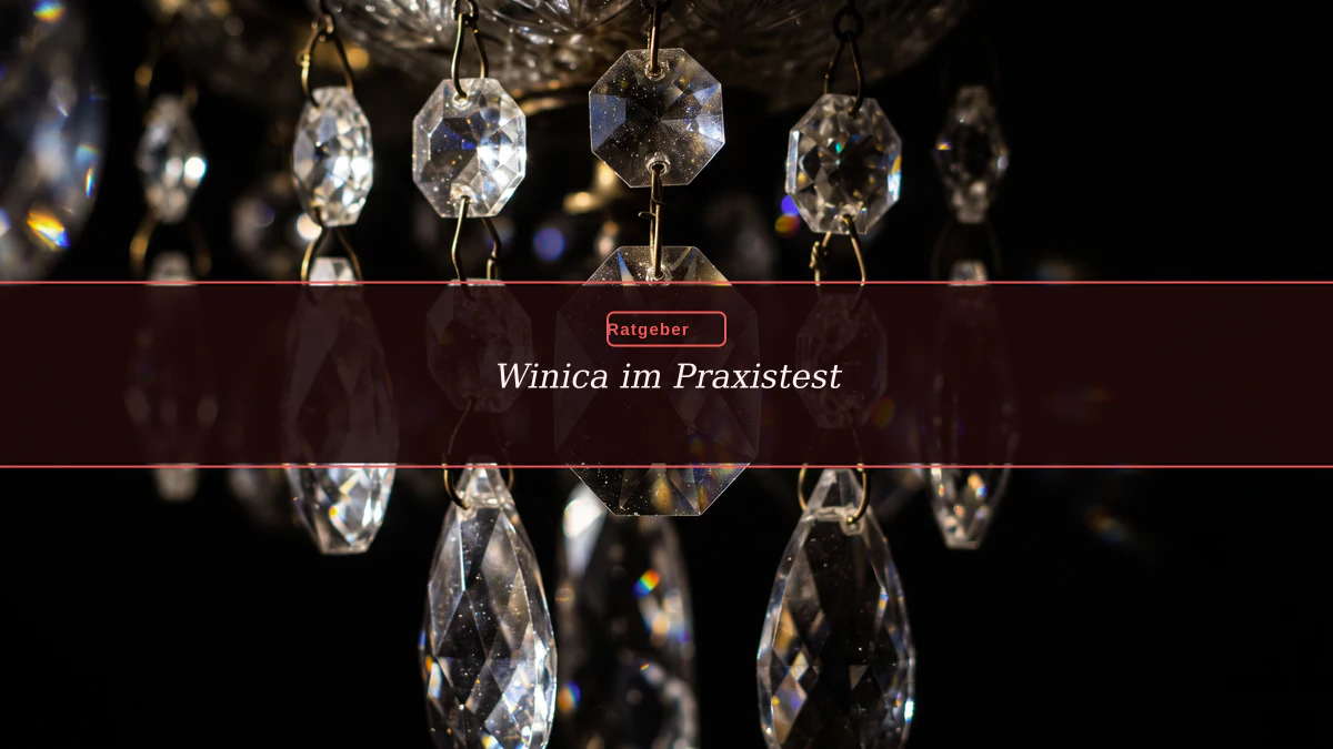 Winica im Praxistest